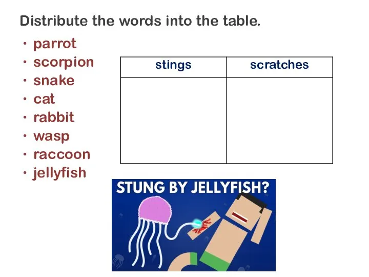 Distribute the words into the table. parrot scorpion snake cat rabbit wasp raccoon jellyfish