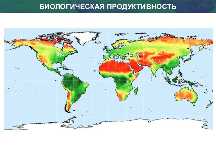 БИОЛОГИЧЕСКАЯ ПРОДУКТИВНОСТЬ