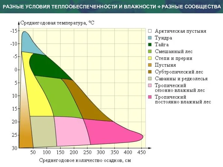 РАЗНЫЕ УСЛОВИЯ ТЕПЛООБЕСПЕЧЕННОСТИ И ВЛАЖНОСТИ ⇨ РАЗНЫЕ СООБЩЕСТВА