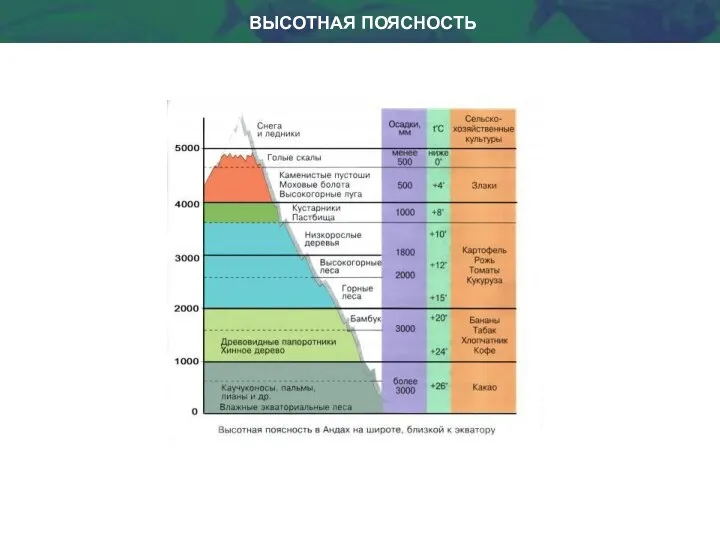 ВЫСОТНАЯ ПОЯСНОСТЬ