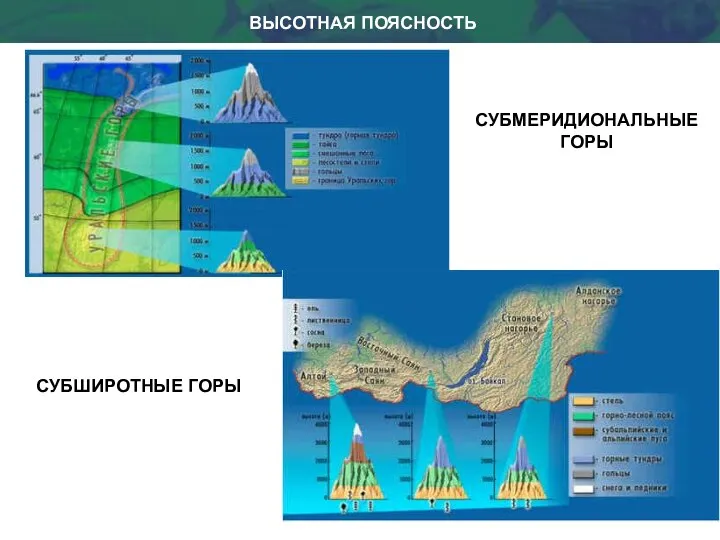 ВЫСОТНАЯ ПОЯСНОСТЬ СУБМЕРИДИОНАЛЬНЫЕ ГОРЫ СУБШИРОТНЫЕ ГОРЫ