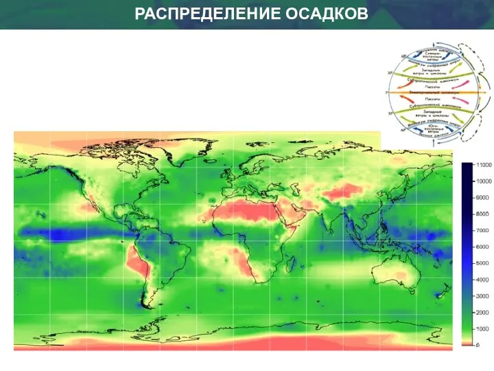 РАСПРЕДЕЛЕНИЕ ОСАДКОВ