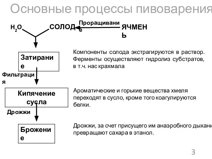 Основные процессы пивоварения H2O СОЛОД Компоненты солода экстрагируются в раствор. Ферменты осуществляют