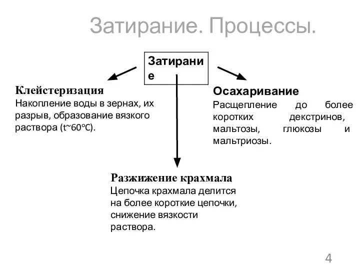 Затирание. Процессы. Клейстеризация Накопление воды в зернах, их разрыв, образование вязкого раствора