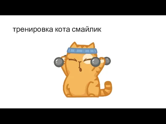 тренировка кота смайлик