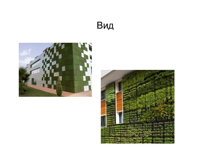 Вид