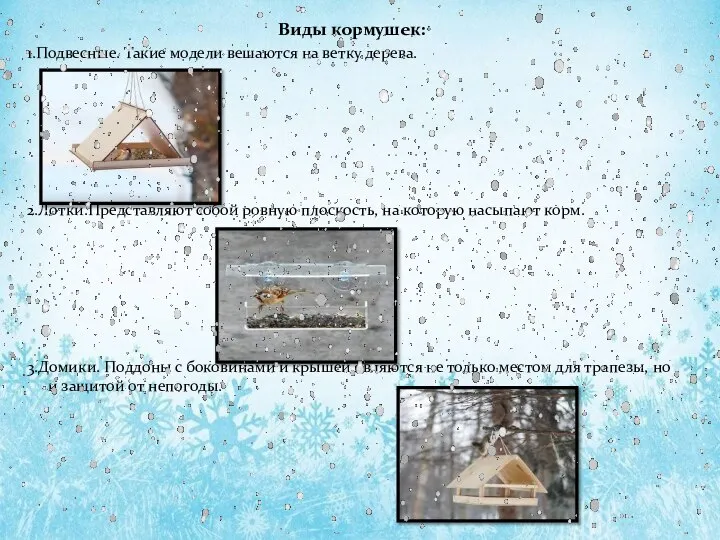 Виды кормушек: 1.Подвесные. Такие модели вешаются на ветку дерева. 2.Лотки.Представляют собой ровную