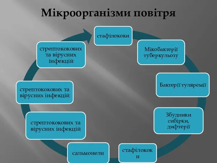 Мікроорганізми повітря