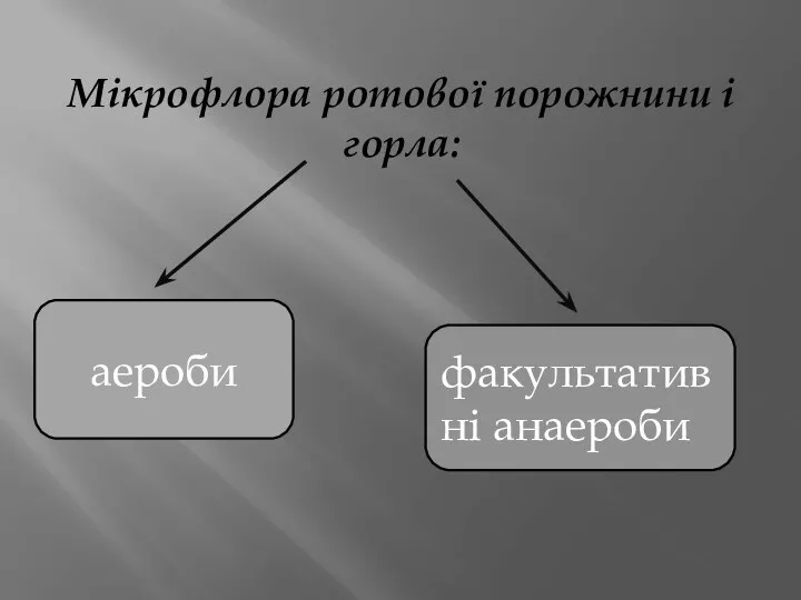 Мікрофлора ротової порожнини і горла: аероби факультативні анаероби