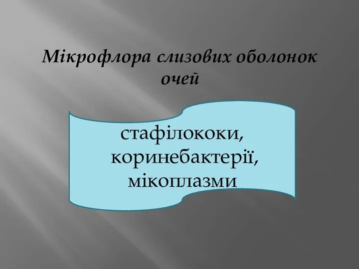 Мікрофлора слизових оболонок очей стафілококи, коринебактерії, мікоплазми