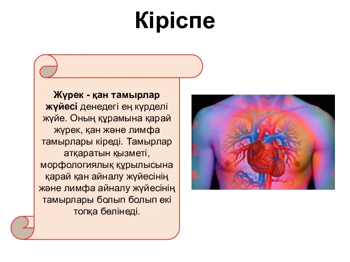 Кіріспе Жүрек - қан тамырлар жүйесі денедегі ең күрделі жүйе. Оның құрамына