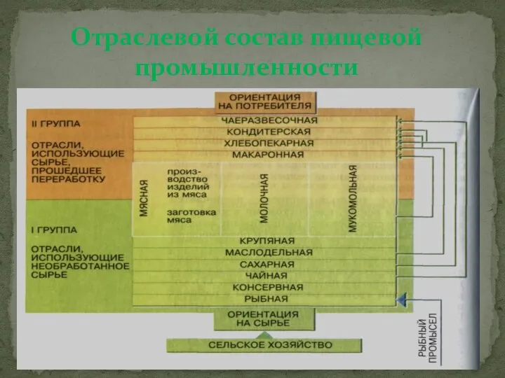 Отраслевой состав пищевой промышленности