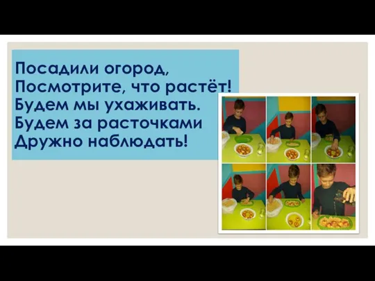 Посадили огород, Посмотрите, что растёт! Будем мы ухаживать. Будем за расточками Дружно наблюдать!