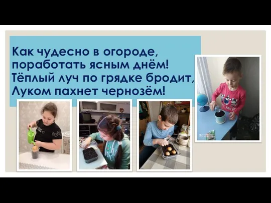 Как чудесно в огороде, поработать ясным днём! Тёплый луч по грядке бродит, Луком пахнет чернозём!