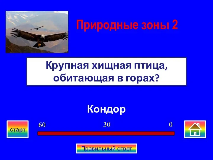 Кондор Крупная хищная птица, обитающая в горах? Природные зоны 2 0 30 60 старт Правильный ответ