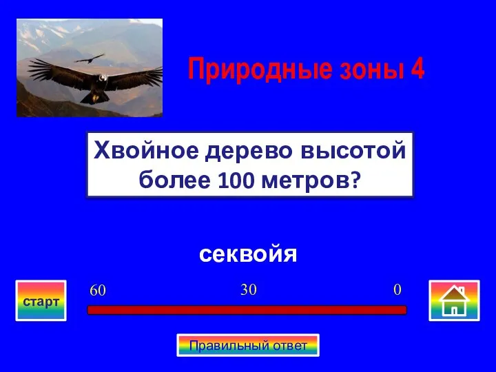 секвойя Хвойное дерево высотой более 100 метров? Природные зоны 4 0 30 60 старт Правильный ответ