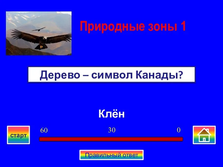 Клён Дерево – символ Канады? Природные зоны 1 0 30 60 старт Правильный ответ