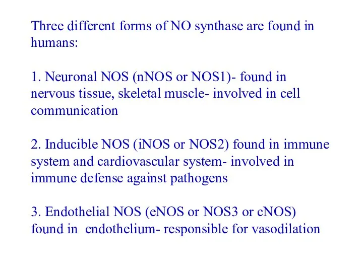 Three different forms of NO synthase are found in humans: 1. Neuronal