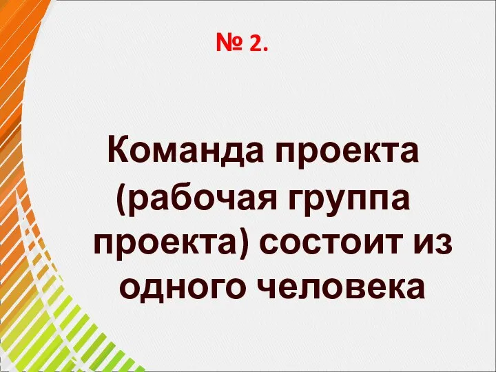 № 2. Команда проекта (рабочая группа проекта) состоит из одного человека