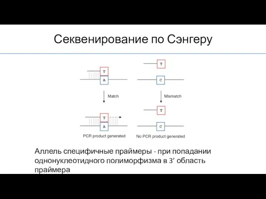 Секвенирование по Сэнгеру Аллель специфичные праймеры - при попадании однонуклеотидного полиморфизма в 3’ область праймера