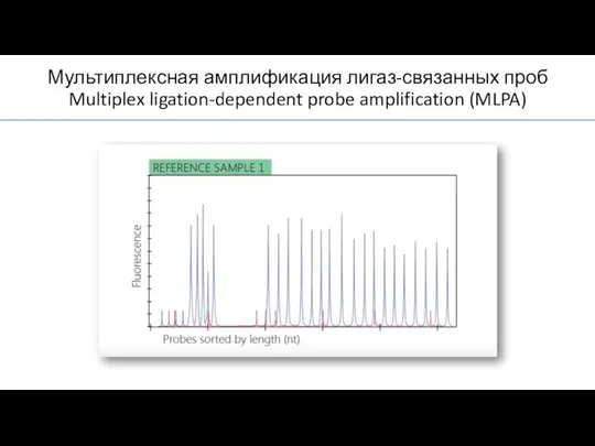 Мультиплексная амплификация лигаз-связанных проб Multiplex ligation-dependent probe amplification (MLPA)