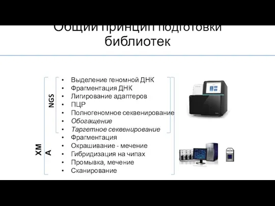 Выделение геномной ДНК Фрагментация ДНК Лигирование адаптеров ПЦР Полногеномное секвенирование Обогащение Таргетное