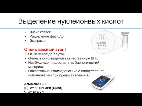 Лизис клеток Разделение фаз ц/ф Экстракция Очень важный этап! От 30 минут