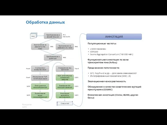 Обработка данных Преобразование в формат fastq (x2) Картирование на референс (fwd. reads)