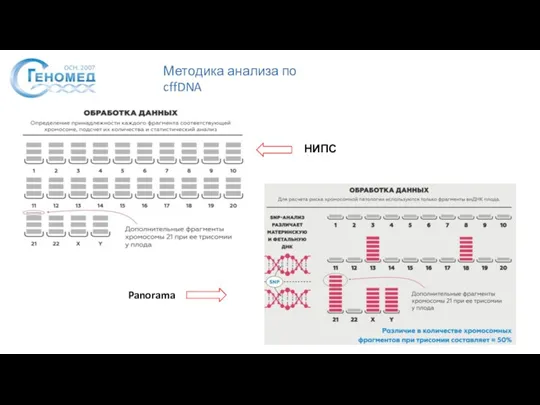 Методика анализа по cffDNA НИПС Panorama