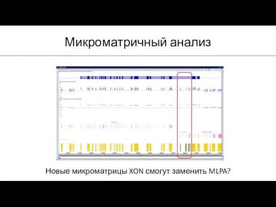 Микроматричный анализ Новые микроматрицы XON смогут заменить MLPA?