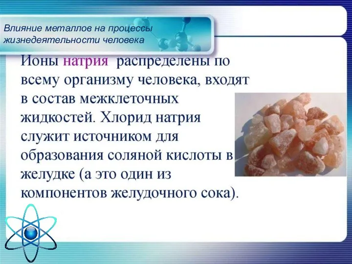 Влияние металлов на процессы жизнедеятельности человека