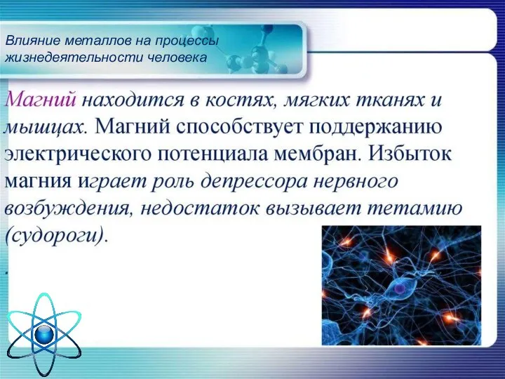 Влияние металлов на процессы жизнедеятельности человека