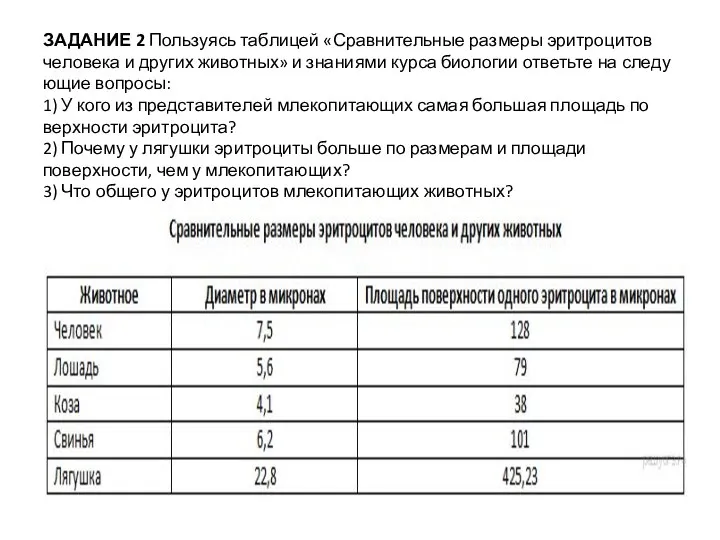 ЗАДАНИЕ 2 Пользуясь таб­ли­цей «Сравнительные раз­ме­ры эритроцитов че­ло­ве­ка и дру­гих животных» и