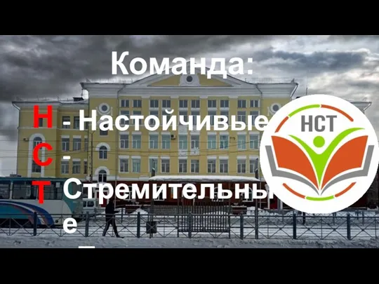 Команда: Н С Т - Настойчивые - Стремительные - Талантливые