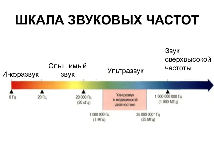 ШКАЛА ЗВУКОВЫХ ЧАСТОТ Инфразвук Слышимый звук Ультразвук Звук сверхвысокой частоты