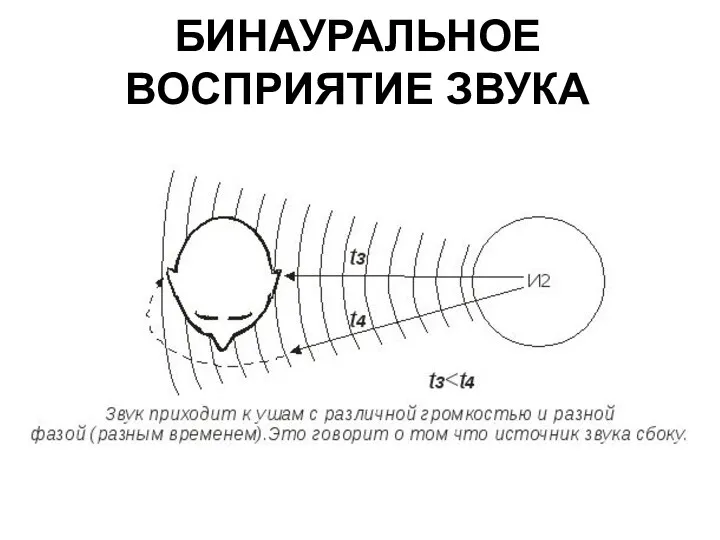 БИНАУРАЛЬНОЕ ВОСПРИЯТИЕ ЗВУКА