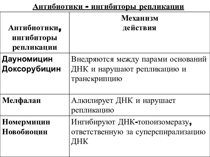 Антибиотики - ингибиторы репликации