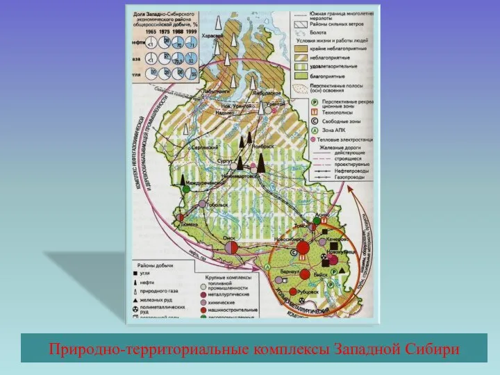 Природно-территориальные комплексы Западной Сибири