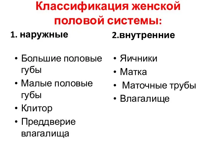 Классификация женской половой системы: 1. наружные Большие половые губы Малые половые губы