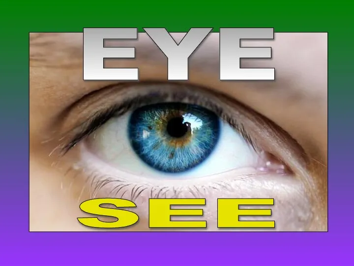 EYE SEE