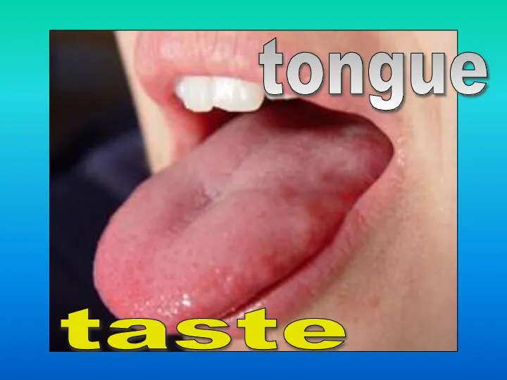 tongue taste