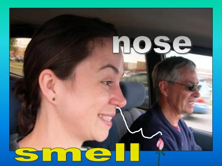 nose smell
