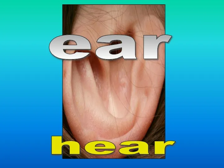 ear hear