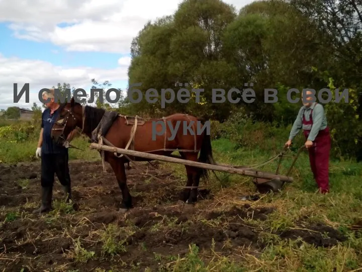 И смело берёт всё в свои руки