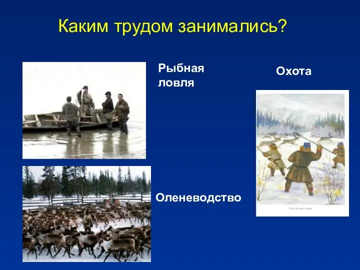 Каким трудом занимались? Рыбная ловля Охота Оленеводство