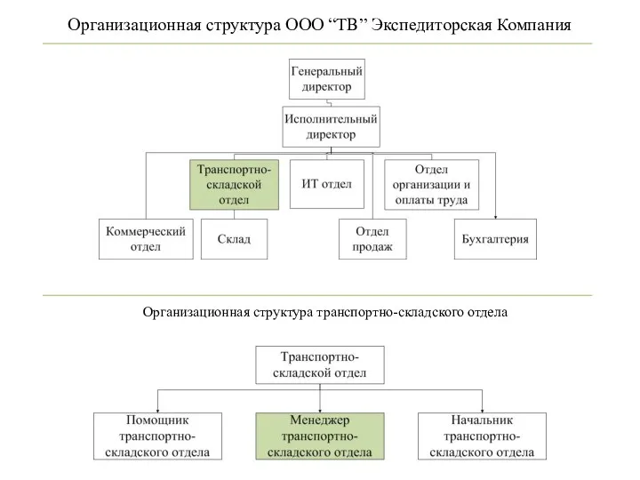 Организационная структура ООО “ТВ” Экспедиторская Компания Организационная структура транспортно-складского отдела