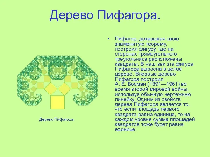 Дерево Пифагора. Пифагор, доказывая свою знаменитую теорему, построил фигуру, где на сторонах