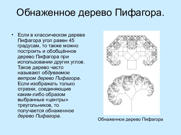 Обнаженное дерево Пифагора. Если в классическом дереве Пифагора угол равен 45 градусам,