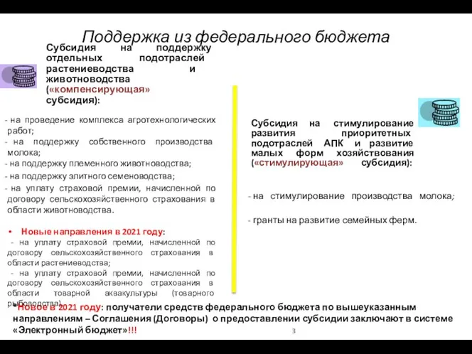 Поддержка из федерального бюджета *Новое в 2021 году: получатели средств федерального бюджета