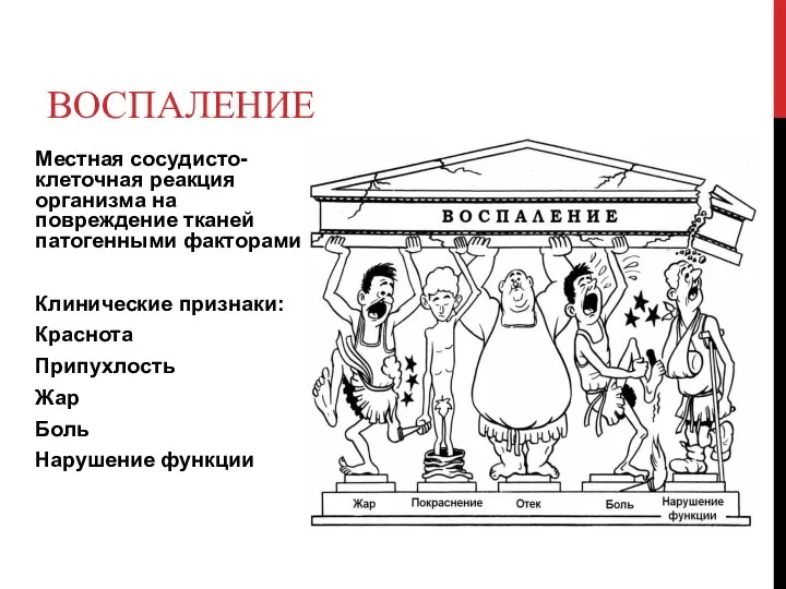 ВОСПАЛЕНИЕ Местная сосудисто-клеточная реакция организма на повреждение тканей патогенными факторами Клинические признаки: